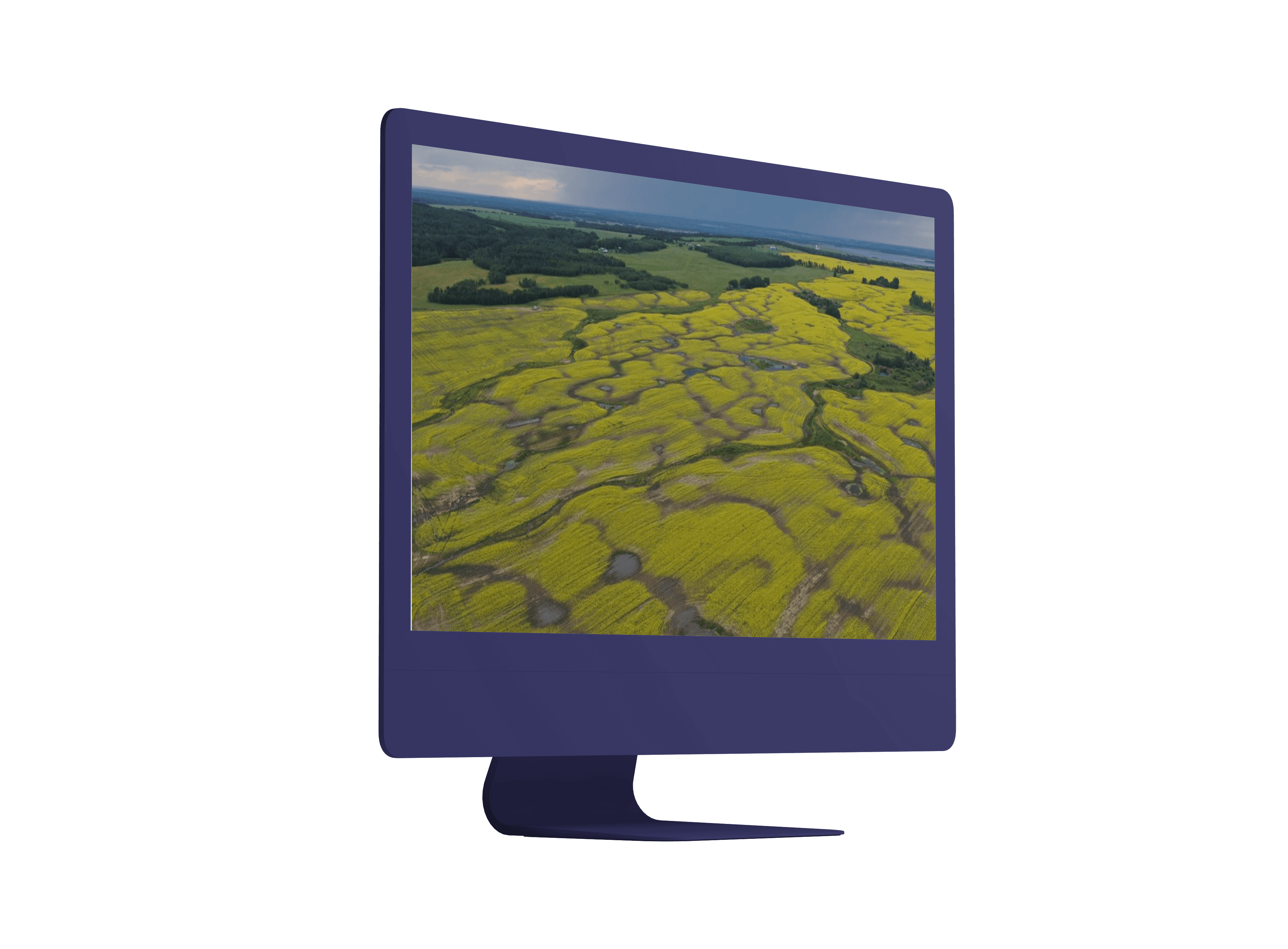 YouFARM field map on a desktop monitor